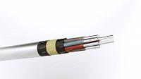 Кабель АКПВБГ 10х10
