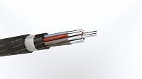 Кабель АКВВГЭнг(A)-ХЛ 10х10